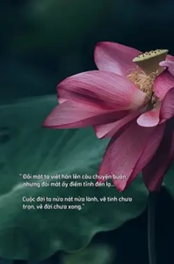 Đôi mắt ta viết hẳn.