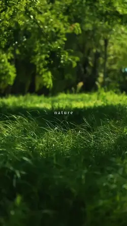 Nature