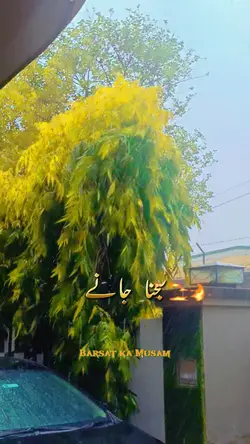 بارش کا موسم۔Rain 
