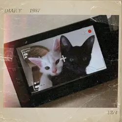 Aesthetic