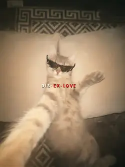 DIZ EX LOVE SLOWED
