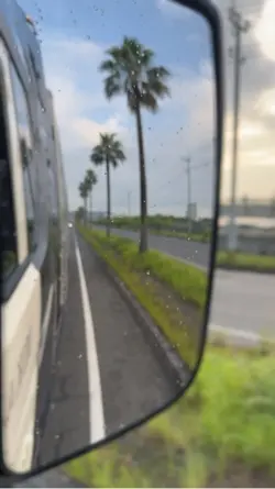 Efeitos de movimento
