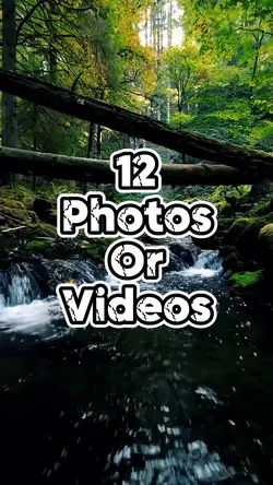 12 slideshow