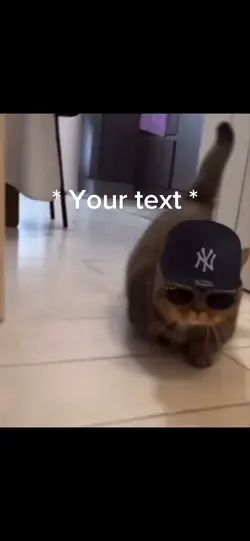Your text