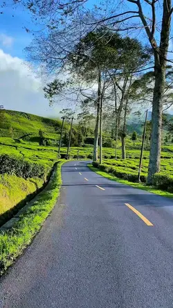 6 video road trip