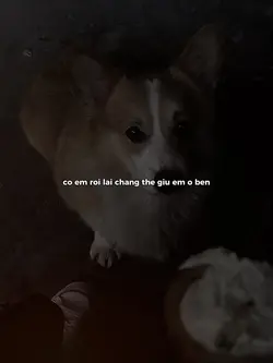 ẢNH + MÀU