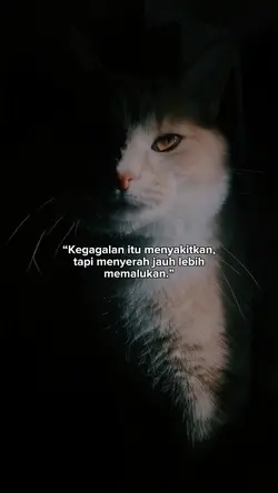 motivation 