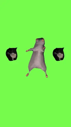 DANCING MOUSE MEME 🔥