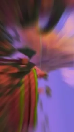 Sonic prime 
