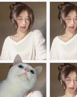 so cute cat