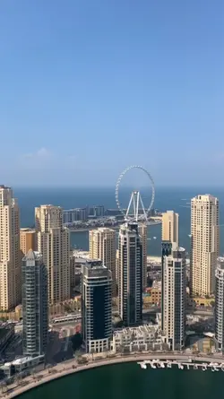 The city