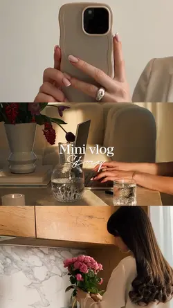 Mini vlog story