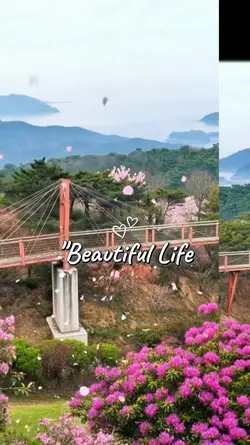 봄풍경