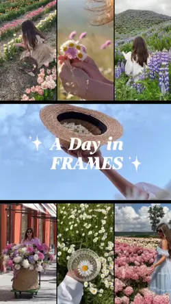 Day in Frames
