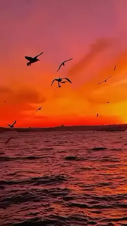 sunset 
