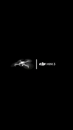 dji mini 3 | 9:16