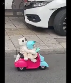 Scooter