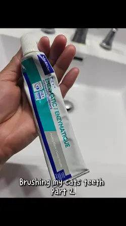 Dental Hygiene