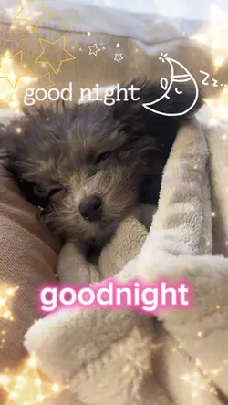 Good night💤
