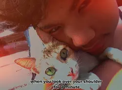 cat