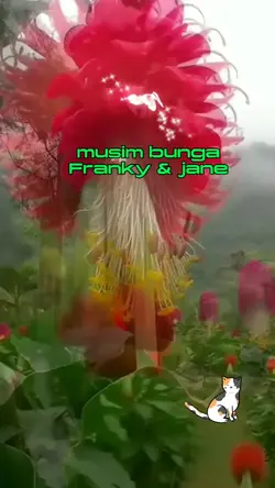 musim bunga