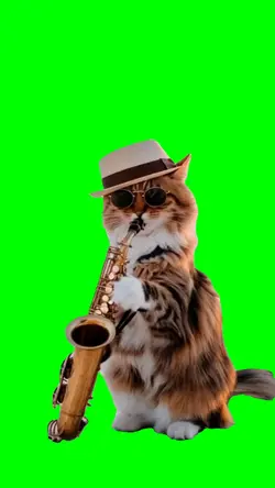 Cat Play Saxophone