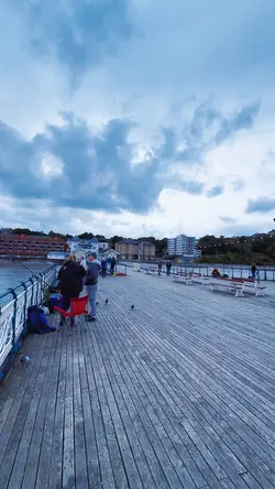 Cinematic scroll 