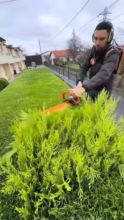 Gardening