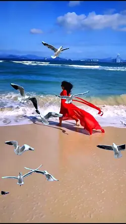 Seagulls