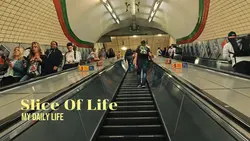Slice of life