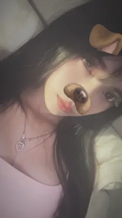 dog filter