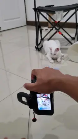 VDO +รูป