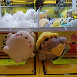 레이닝 타코