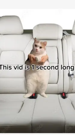 1 second long video