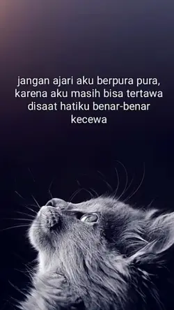 kecewa 