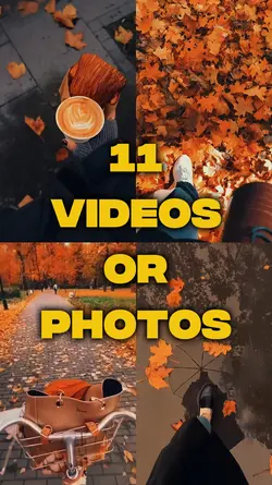 Autumn season