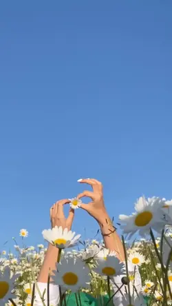 Myflower