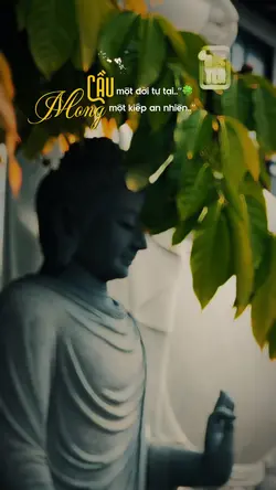Mong một kiếp an..