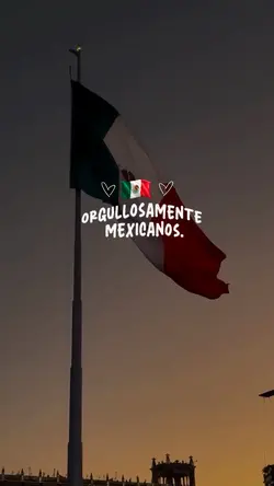 Gracias 🇲🇽🤍💫