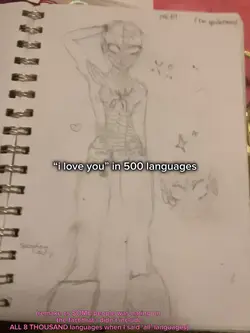 ILY in 500 lingos