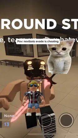 El gato