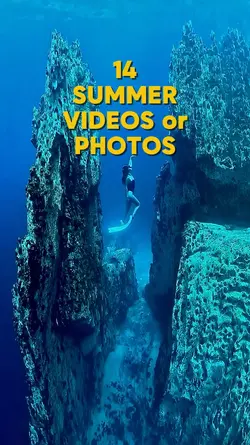 Summer 14 videos