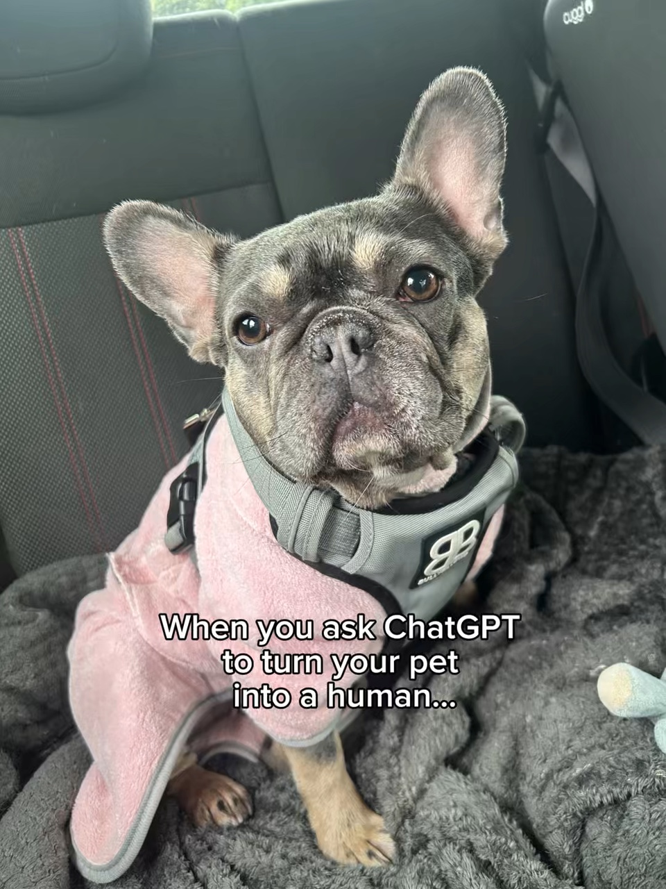 AI Animals As Human - Pippit