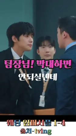 웨딩 임파서블 드라마