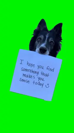:}
