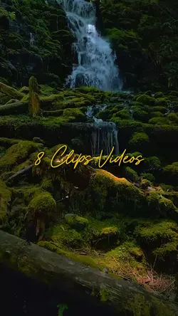8 Clips Videos