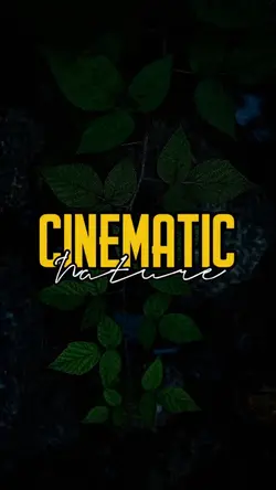 Cinematic
