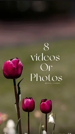 8 Videos Or Photos. 