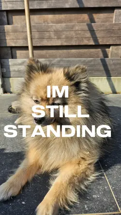 ImStillStanding