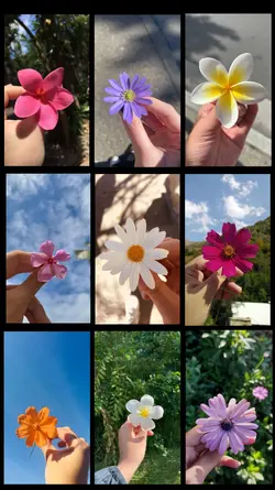 9 clips 